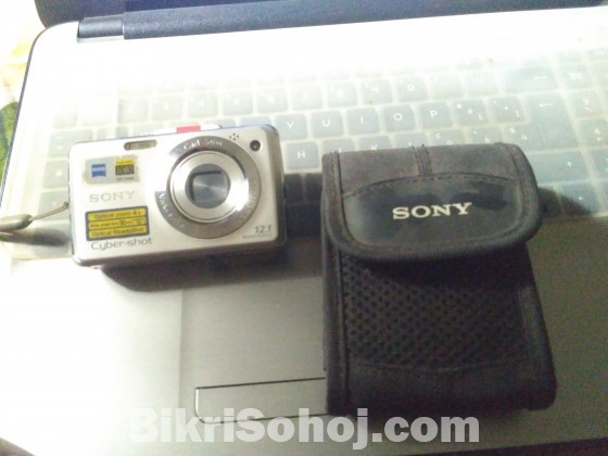 Sony Cybershot DSC-W220 (Carl Zeiss)